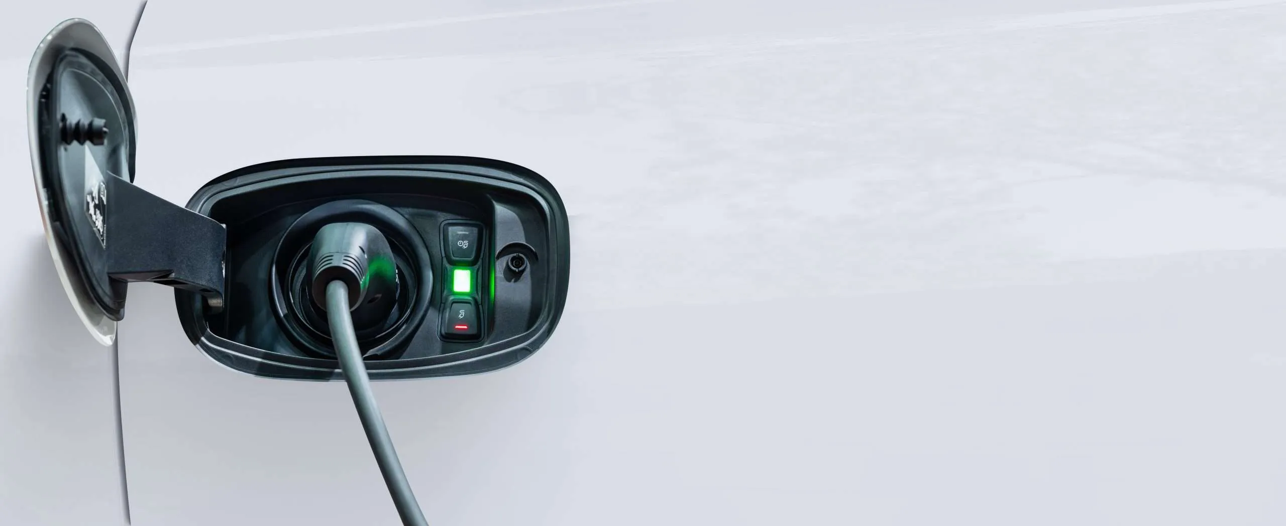 adobestock 434764822 scaled