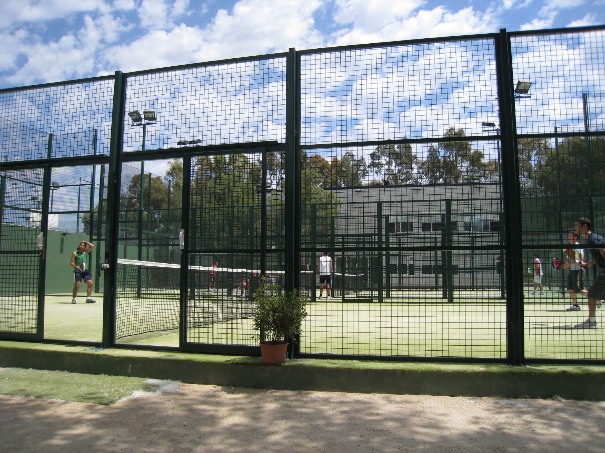 paddle tennis game